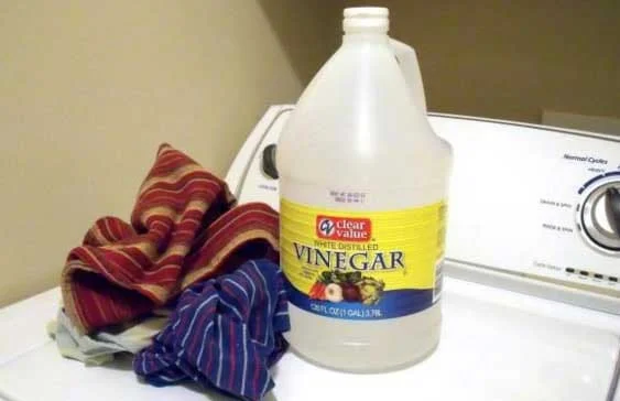 5 Reasons To Add Vinegar In With The Laundry