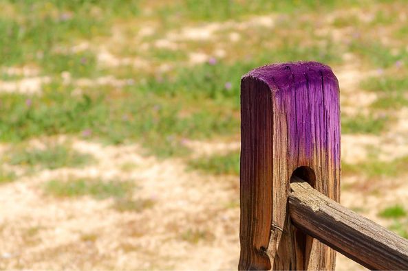 If you see a purple fence post, you need to know what it means