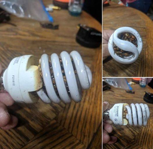 Man Warns Others After Startling Light Bulb Discovery